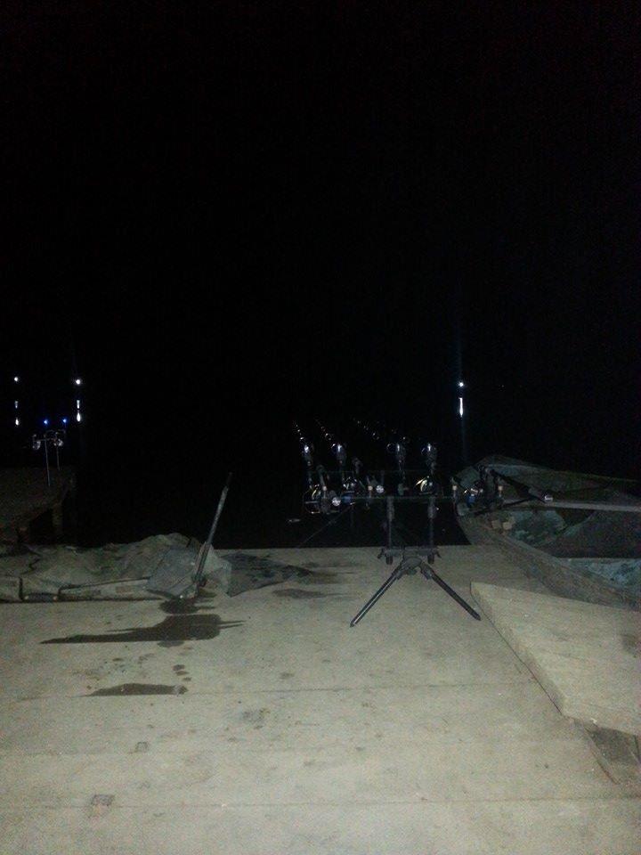 Tancabesti 1 - 2 mar. - z0.jpg